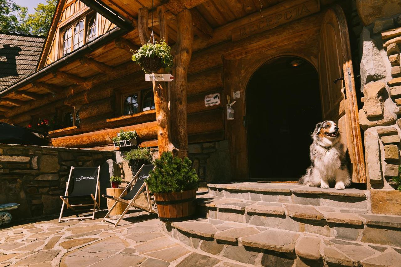Pokoje Javorina Zakopane Kültér fotó